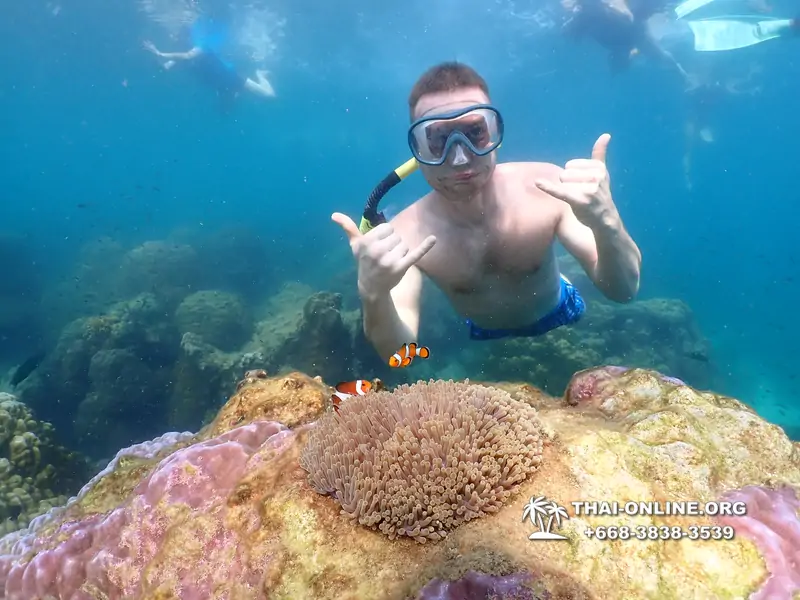 Underwater Odyssey snorkeling excursion Pattaya Thailand photo 11580