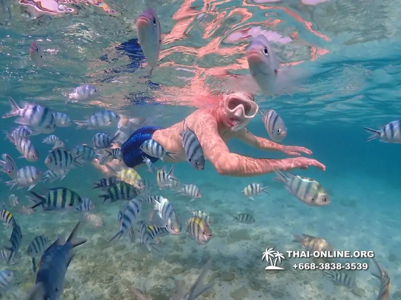 Underwater Odyssey snorkeling excursion Pattaya Thailand photo 11291