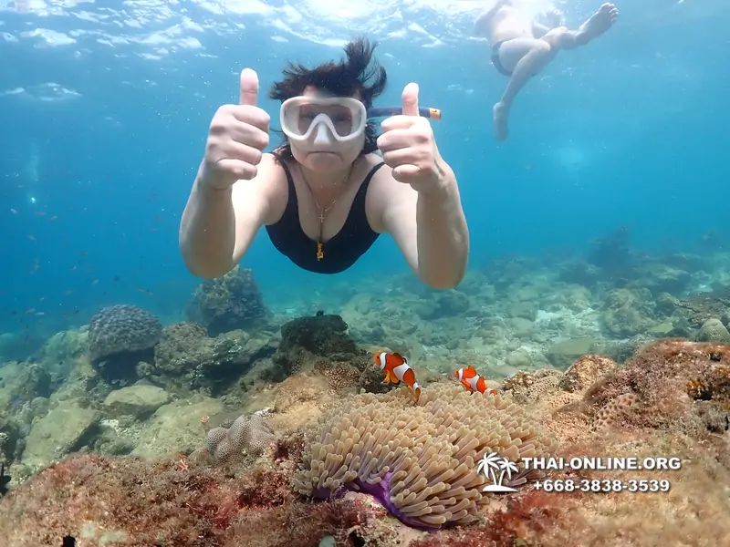 Underwater Odyssey snorkeling excursion Pattaya Thailand photo 11451
