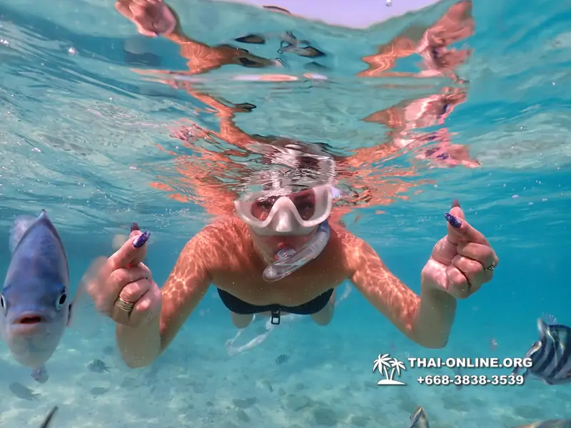 Underwater Odyssey snorkeling excursion Pattaya Thailand photo 10982