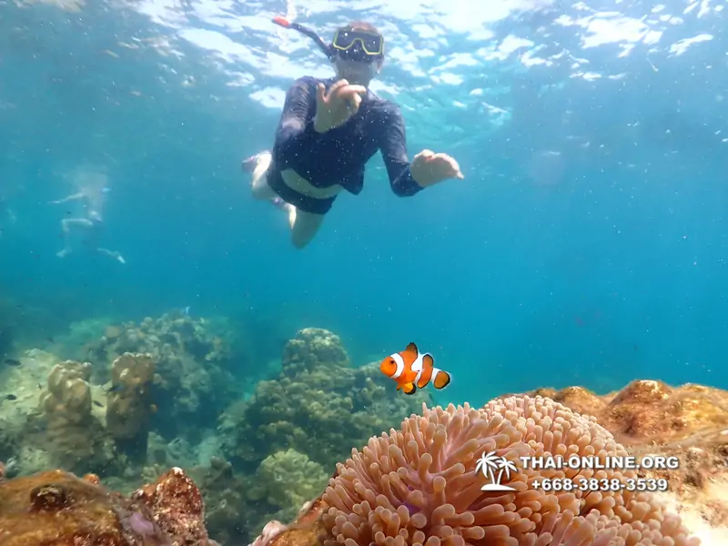 Underwater Odyssey snorkeling tour from Pattaya Thailand photo 14341