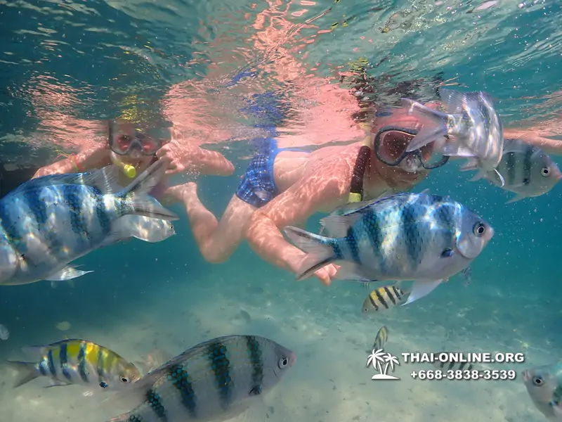 Underwater Odyssey snorkeling excursion Pattaya Thailand photo 11526