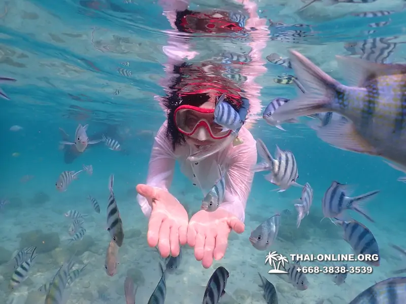 Underwater Odyssey snorkeling tour from Pattaya Thailand photo 14280