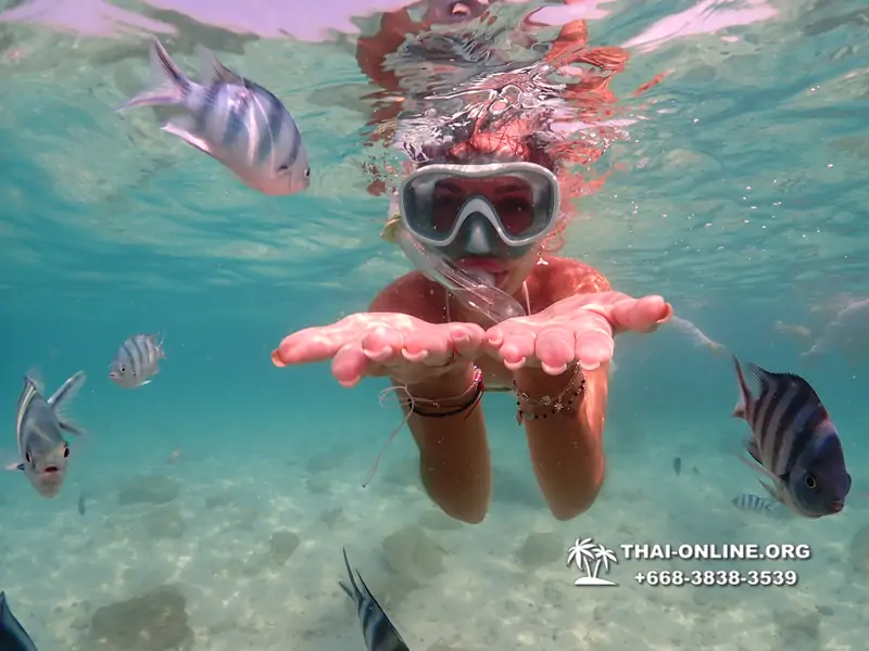 Underwater Odyssey snorkeling tour from Pattaya Thailand photo 14467
