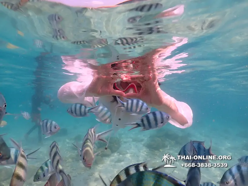 Underwater Odyssey snorkeling tour from Pattaya Thailand photo 14507