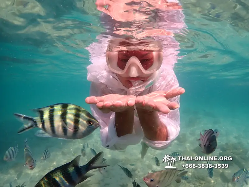 Underwater Odyssey snorkeling tour from Pattaya Thailand photo 14440