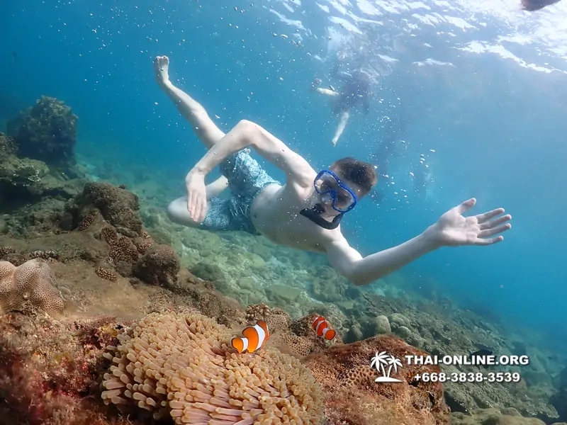 Underwater Odyssey snorkeling excursion Pattaya Thailand photo 11327