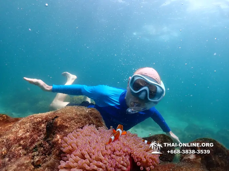 Underwater Odyssey snorkeling excursion Pattaya Thailand photo 14786