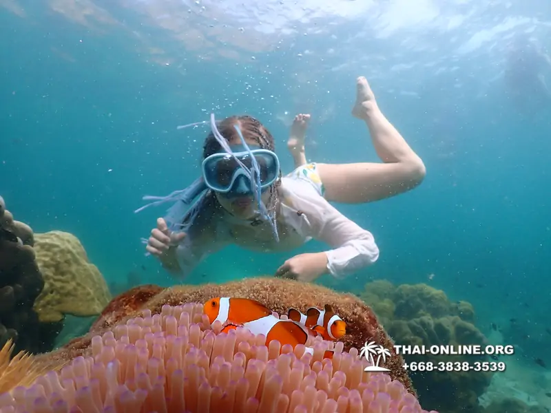 Underwater Odyssey snorkeling tour from Pattaya Thailand photo 18490