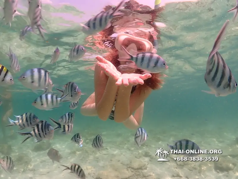 Underwater Odyssey snorkeling tour from Pattaya Thailand photo 18411