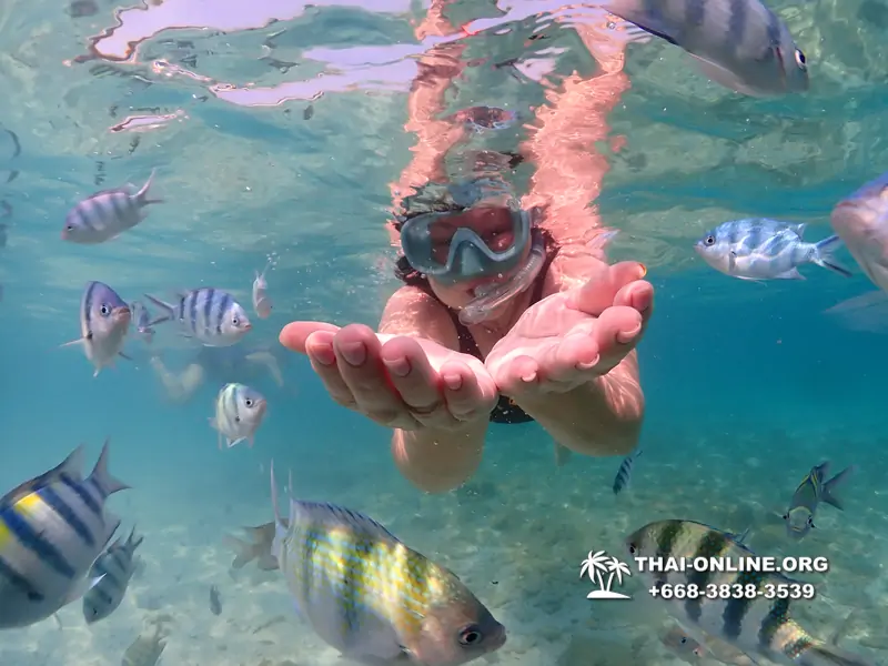 Underwater Odyssey snorkeling excursion Pattaya Thailand photo 11176
