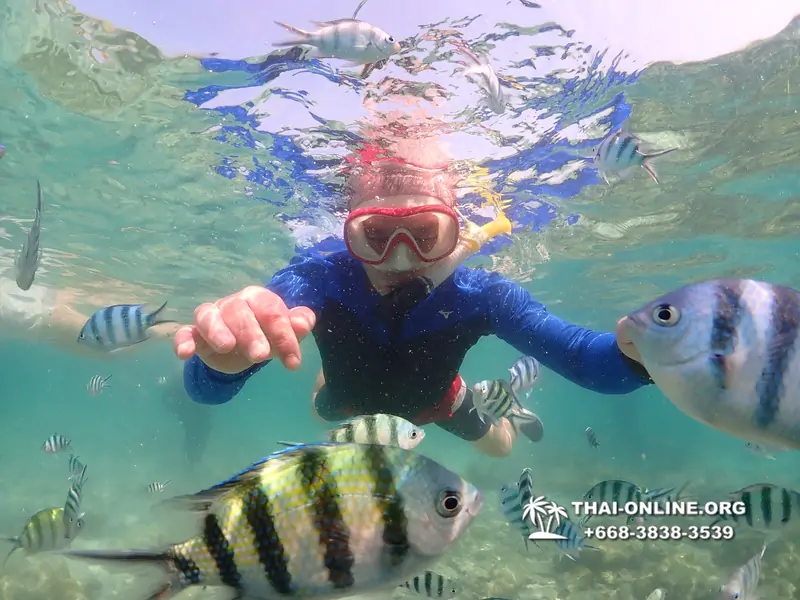 Underwater Odyssey snorkeling excursion Pattaya Thailand photo 14776