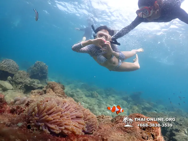 Underwater Odyssey snorkeling excursion Pattaya Thailand photo 11359