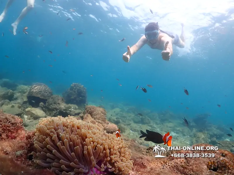 Underwater Odyssey snorkeling excursion Pattaya Thailand photo 11344