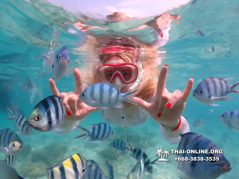Underwater Odyssey snorkeling tour from Pattaya Thailand photo 14375