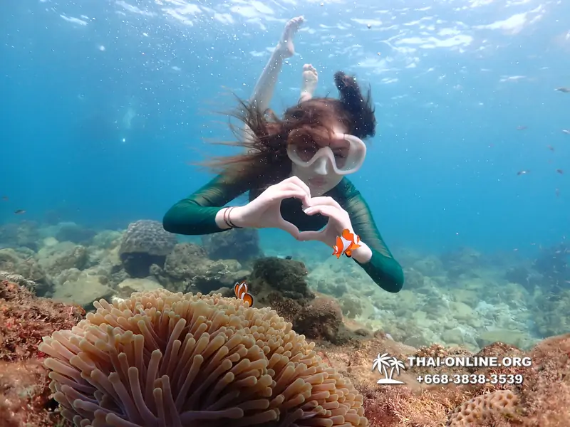 Underwater Odyssey snorkeling excursion Pattaya Thailand photo 11348