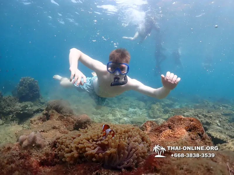 Underwater Odyssey snorkeling excursion Pattaya Thailand photo 11332