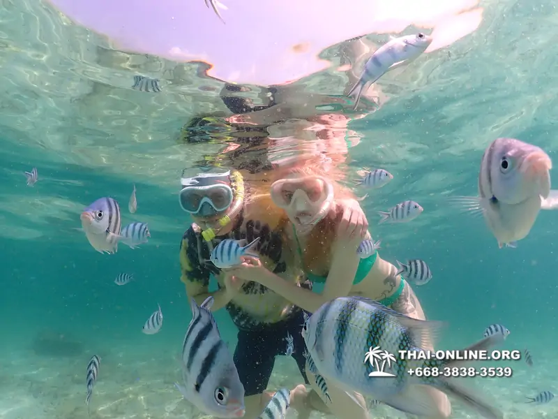 Underwater Odyssey snorkeling tour from Pattaya Thailand photo 18308