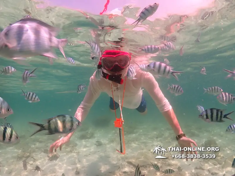 Underwater Odyssey snorkeling tour from Pattaya Thailand photo 18427