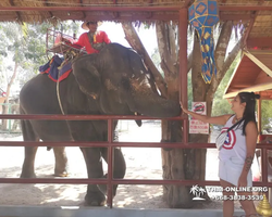 Wat Yan excursion book online +668-3838-3539 in Pattaya photo 3921