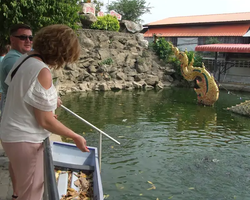 Wat Yan excursion book online +668-3838-3539 in Pattaya photo 2927