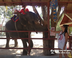 Wat Yan excursion book online +668-3838-3539 in Pattaya photo 3875