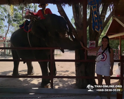 Wat Yan excursion book online +668-3838-3539 in Pattaya photo 3877