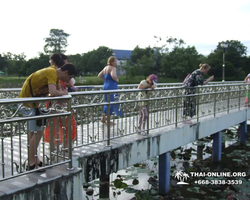 Wat Yan excursion book online +668-3838-3539 in Pattaya photo 1886