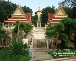 Wat Yan excursion book online +668-3838-3539 in Pattaya photo 3561