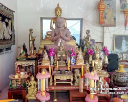 Wat Yan excursion book online +668-3838-3539 in Pattaya photo 3379