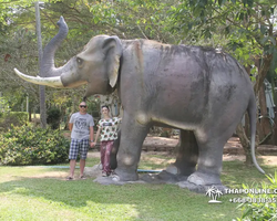 Wat Yan excursion book online +668-3838-3539 in Pattaya photo 5039