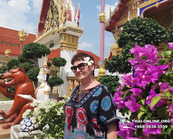 Wat Yan excursion book online +668-3838-3539 in Pattaya photo 378