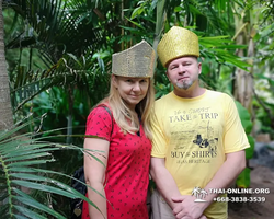 Wat Yan excursion book online +668-3838-3539 in Pattaya photo 1838