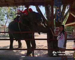 Wat Yan excursion book online +668-3838-3539 in Pattaya photo 3957