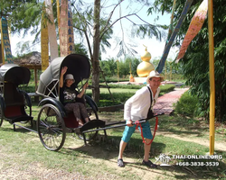 Wat Yan excursion book online +668-3838-3539 in Pattaya photo 1462