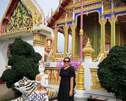 Wat Yan excursion book online +668-3838-3539 in Pattaya photo 2798