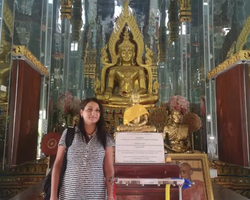 Wat Yan excursion book online +668-3838-3539 in Pattaya photo 5458