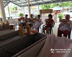 Wat Yan excursion book online +668-3838-3539 in Pattaya photo 594