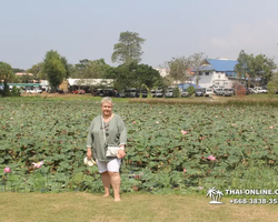 Wat Yan excursion book online +668-3838-3539 in Pattaya photo 4885