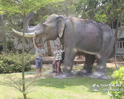 Wat Yan excursion book online +668-3838-3539 in Pattaya photo 4825