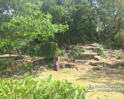 Wat Yan excursion book online +668-3838-3539 in Pattaya photo 3219