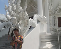 Wat Yan excursion book online +668-3838-3539 in Pattaya photo 2462