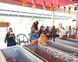 Wat Yan excursion book online +668-3838-3539 in Pattaya photo 4371