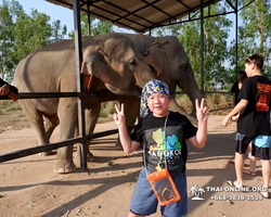 Elephant Jungle Sanctuary excursion in Pattaya Thailand - photo 156
