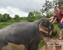 Elephant Jungle Sanctuary excursion in Pattaya Thailand - photo 561