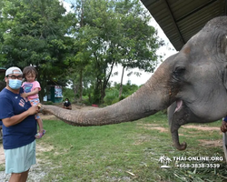 Elephant Jungle Sanctuary excursion in Pattaya Thailand - photo 144