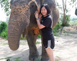 Elephant Jungle Sanctuary excursion in Pattaya Thailand - photo 259