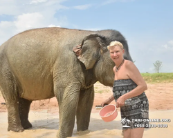 Elephant Jungle Sanctuary excursion in Pattaya Thailand - photo 987