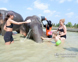 Elephant Jungle Sanctuary excursion in Pattaya Thailand - photo 1067