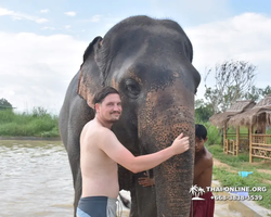 Elephant Jungle Sanctuary excursion in Pattaya Thailand - photo 971